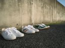 画像:  MACCHERONIAN Men's/Lady's × 2