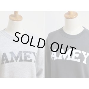 画像: 【期間限定15%OFF】【2022春夏】Americana（アメリカーナ）USコットンハイゲージ裏毛 RAGLAN CREW SWEAT "AMEY" BRF-569A【Lady's】